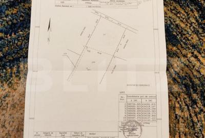 Teren de 4990 mp, în Valea Doftanei - 1