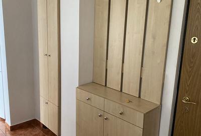 Apartament cu 2 camere decomandat în Livezeni - 6