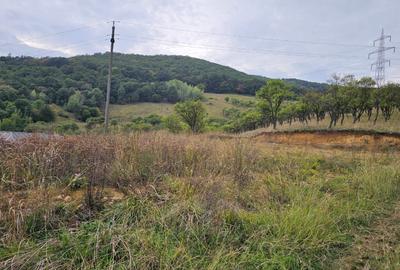 Teren exclusivist cu vedere panoramica - 2