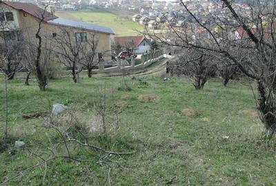 Teren de 670 mp, în Bucium