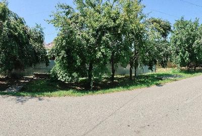 Casă cu 3 camere cu Teren 829 Mp în Brazii