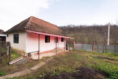 RECO Casa de vacanta la Holod- langa padure- teren 2190mp - 17