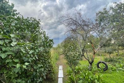 Casa si teren de 2368 mp , Zona Calea Bucuresti - 1