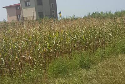 Teren în Siliștea Snagovului