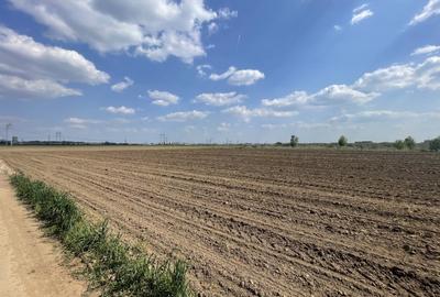 Domnesti, Str Lalelelor, teren intravilan 14793mp, deschidere 46ml, investitie. - 3