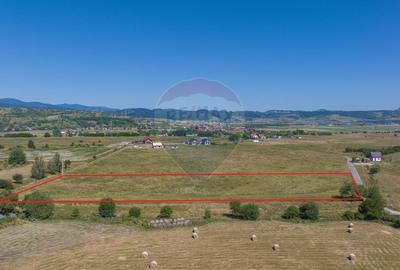 Teren Construcții intravilan de 6900 mp, în Bran - 3