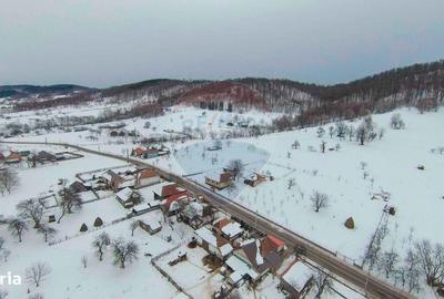 Teren de 3000 mp, în Bratca - 2