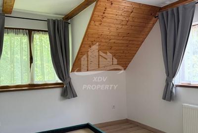 Pensiune/ Vila Valea Avrigului - 24