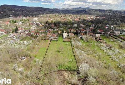 Teren de 4898 mp, în Cornu - 7