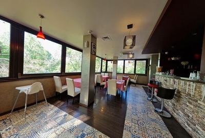 Oportunitate de investitie restaurant in Parcului Tineretului - 3