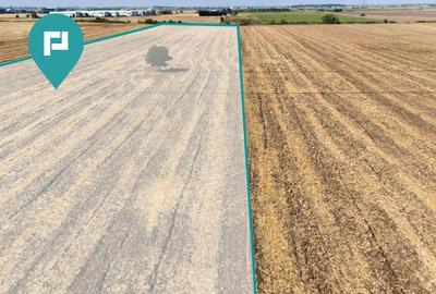 Oportunitate! Teren 4.345 mp Sagului - 16