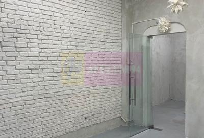 Spațiu comercial Calea Calarasilor - Popa Nan - 2