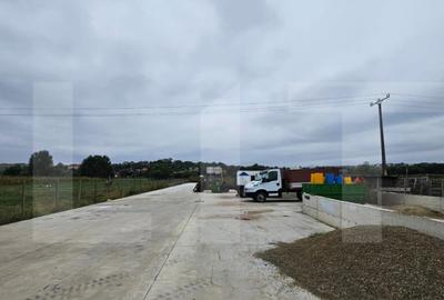 Teren Rachiti | 2245MP - 2