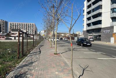 Titan _Auchan - unicat, teren 1750 mp, pe colt, dubla deschidere - 7