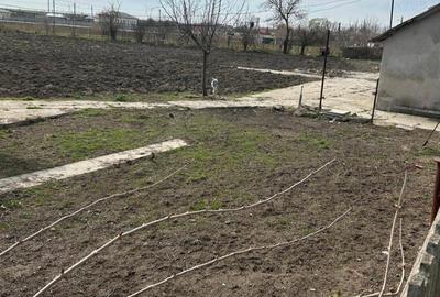 Casa de vanzare,comuna Pecineaga,Constan?a - 5