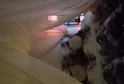 Garsonieră decomandată în Central - 2