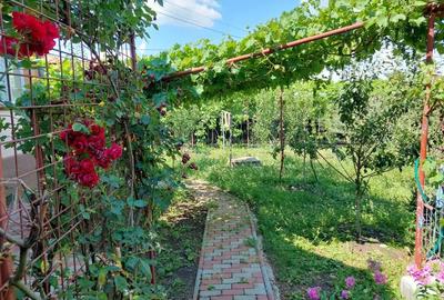 Casă cu 6 camere în Sângeorgiu de Mureș - 5