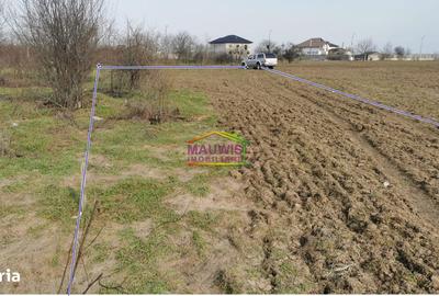 Teren de 921 mp, în Cernica - 1