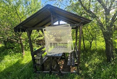 Casă cu 2 camere cu Teren 850 Mp în Roșia - 14