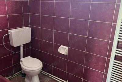 Vila Individuala P+1 | Centru Pucioasa | Proprietar - 16