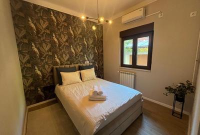 Oportunitate-Kiseleff, vila renovată D+P+E+M - 29