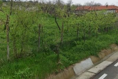 Teren Construcții intravilan de 1500 mp, în Predești - 3