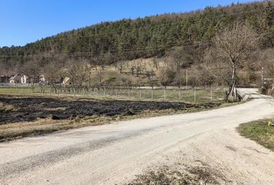 Teren de 3400 mp, în Exterior Vest - 2