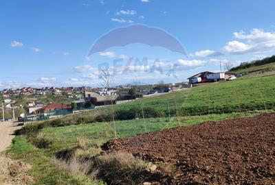 Teren Construcții intravilan de 1200 mp, în Săldăbagiu de Munte - 2