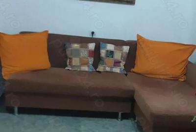 Casă cu 4 camere cu Teren 1439 Mp în Cermei - 3