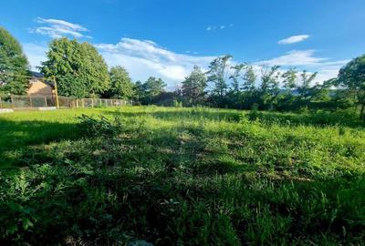 Teren 1,749mp Piatra-Neamt / Strada Zambilelor - 5