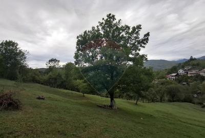 Teren de 4000 mp, în Moroeni - 10