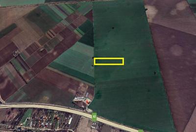 Teren 27600 mp pretabil industrial, Autostrada Soarelui (A2), Fundulea - 3