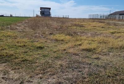 Teren Comunca Berceni - Miorita - Padurea Craiului - 1