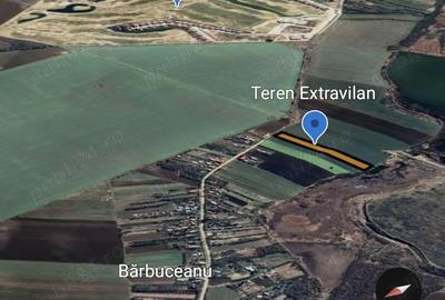 Teren de 10000 mp, în Bărbuceanu - 1