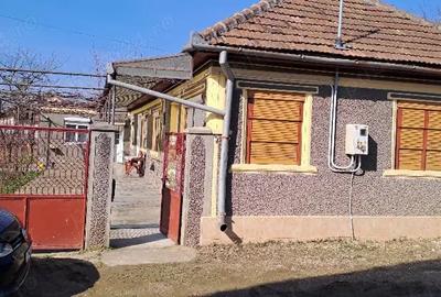 Casă cu Teren 700 Mp în Teiu - 7
