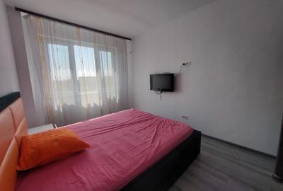Apartament 2 Camere Pantelimon- Parcul Cosmos - 12