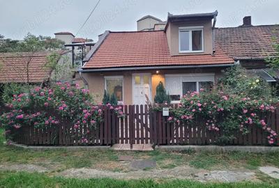 Casa P+M, 4 camere, str. Tudor Vladimirescu, 326 mp teren - 2