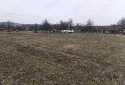 Teren de 3000 mp, în Vața de Jos - 8