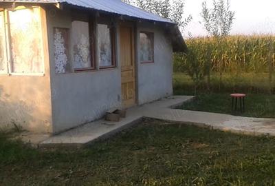 Casă cu 2 camere în Cătunu - 2