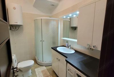 Garsoniera de inchiriat Aurel Vlaicu - 2