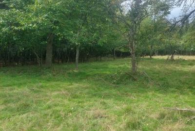 Teren de 15826 mp, în Central - 2