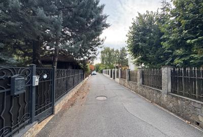 Vilă deosebită D+P+1E+P/ zona exclusivistă/Iancu Nicolae - 8