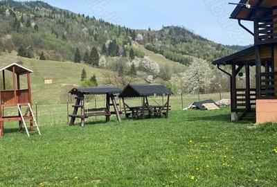 Casa de vacan?a la munte ! Casa de vacan?a la munte ! - 10