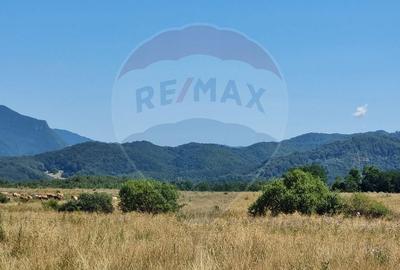 Teren unic de 11,600 mp/Extravilan/Rasnov - 10