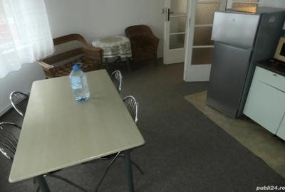 Apartament 2 camere la vila, zona Calea Romanilor - 10