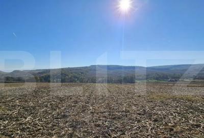 Teren de 17000 mp, în Almașu Mic - 2