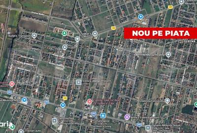 Spațiu comercial, în Moșnița Nouă