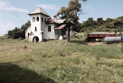 Teren de vanzre in Pitesti 53.000 mp + Conac Boieresc - 16