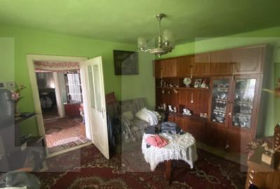 Casa tradi?ionala cu teren generos Belin - 12