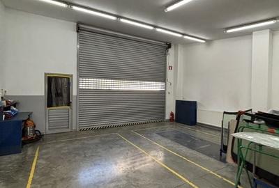 Hală,birourii/depozitare în zona Lugojului - 2